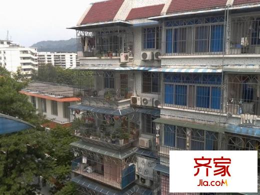 茶園山新村外景圖 