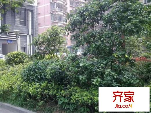 長(zhǎng)樂苑外景圖 