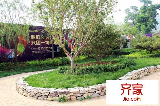 鼎旺90社區(qū)售樓處園林綠化近景實景（2014-07-10）
