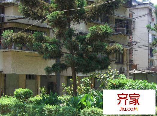 白馬河公寓外景圖 