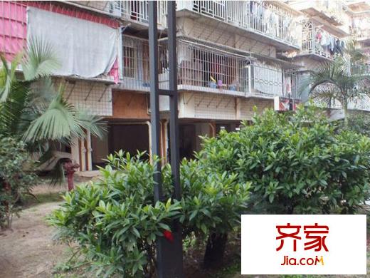 南臺(tái)新苑紫荊園外景圖 