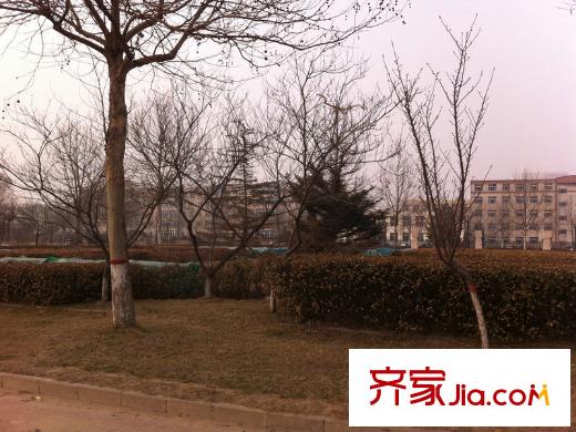 正通灤州一號項目附近的公園