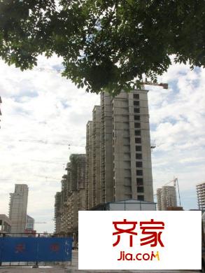 世紀御庭