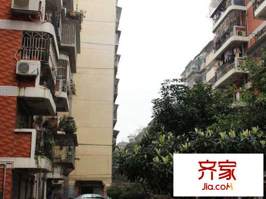 隆盛小區(qū)外景圖 