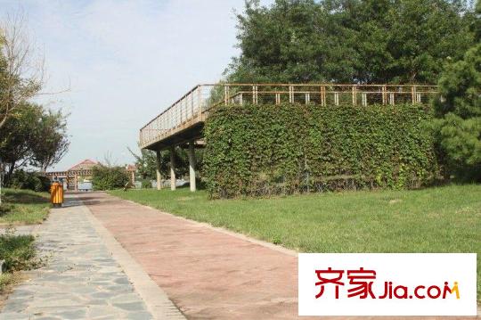 鳳凰湖畔周邊配套-實(shí)景園林