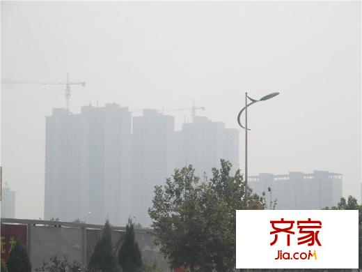 玫瑰園工程實景（2013-9-27）