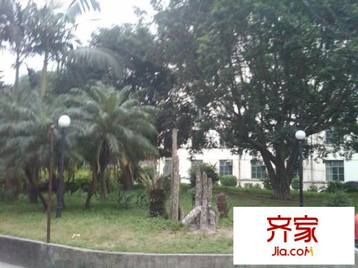 高工小區(qū)外景圖 
