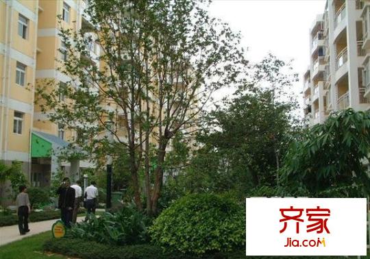 高工小區(qū)外景圖 