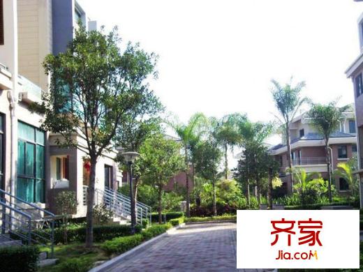 大洋鷺洲外景圖 