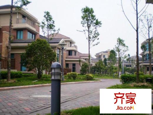 大洋鷺洲