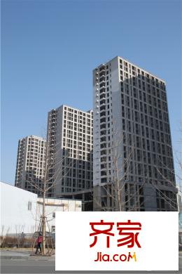 龍庭時代開春工程進(jìn)展（2015-03-16）