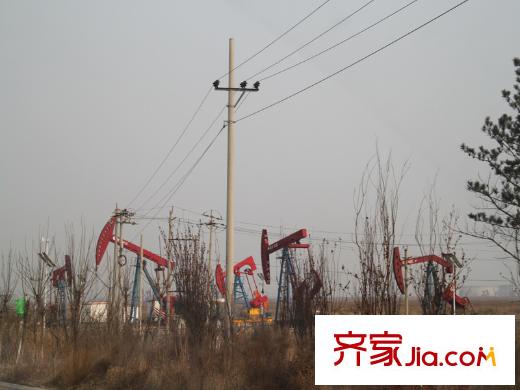 曹妃湖紅樹灣周邊采油基地