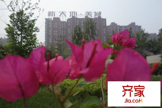 新天地美域小區(qū)園林（2013-8-19）