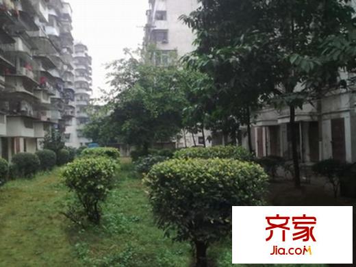 紫陽新園外景圖 