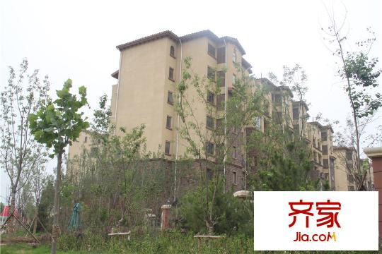 林蔭壹號院最新工程實景（2015-6-24）