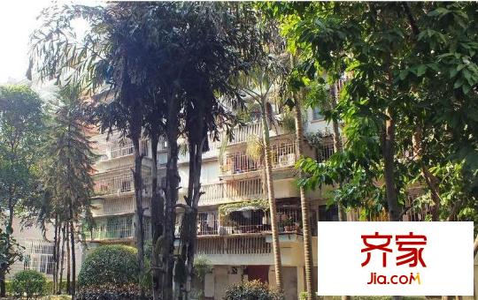 五鳳小區(qū)外景圖 