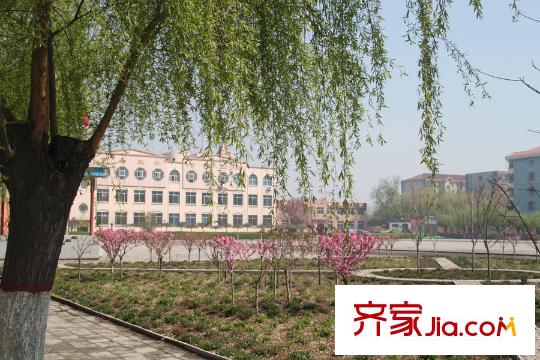 鼎盛新城附近的小學