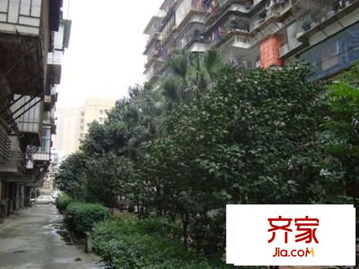 電業(yè)局宿舍外景圖 