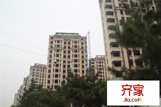 鼎旺大觀最新工程實(shí)景（2015-6-24）