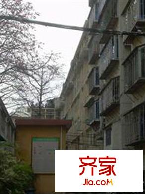 省委機關(guān)鼓屏路單位宿舍外景圖 