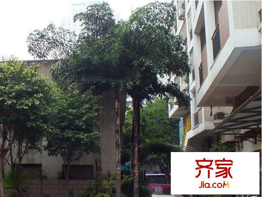 檸檬宿外景圖 