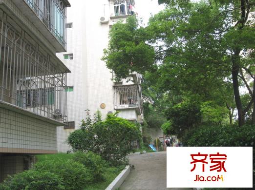龍洲公寓外景圖 