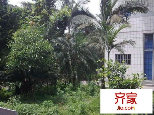 萬事利花園外景圖 