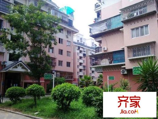 南臺(tái)新苑茶花園外景圖南臺(tái)新苑 茶花園 