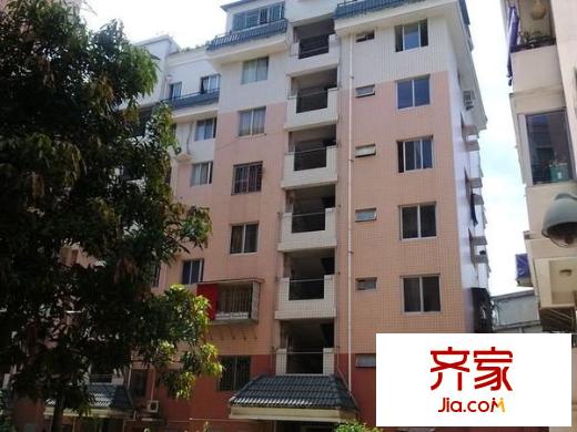 南臺(tái)新苑茶花園外景圖南臺(tái)新苑 茶花園 