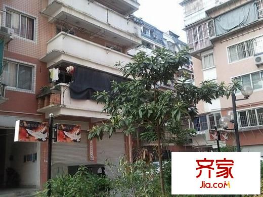 南臺(tái)新苑茶花園外景圖南臺(tái)新苑 茶花園 