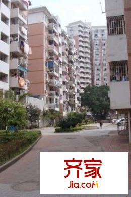 南臺(tái)新苑茶花園外景圖南臺(tái)新苑 茶花園 