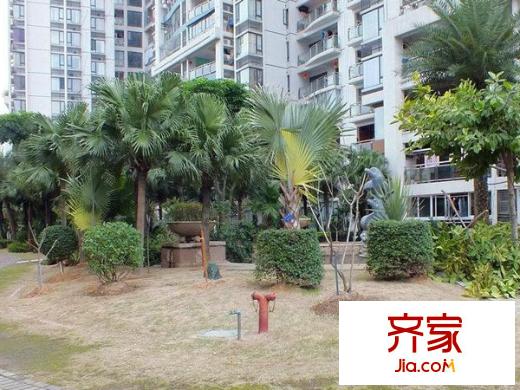 美倫浩洋麗都A區(qū)外景圖 