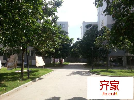 龍津苑小區(qū)外景圖 