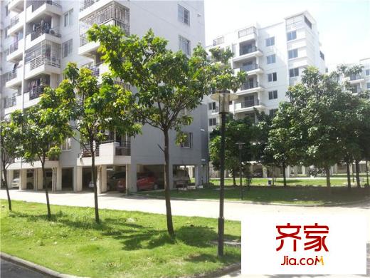 龍津苑小區(qū)外景圖 