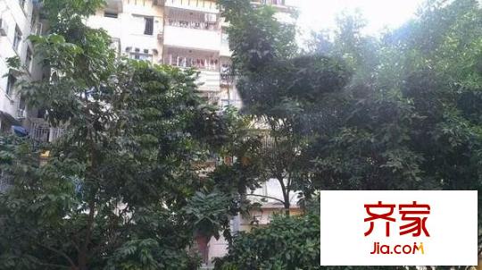 德盛花園