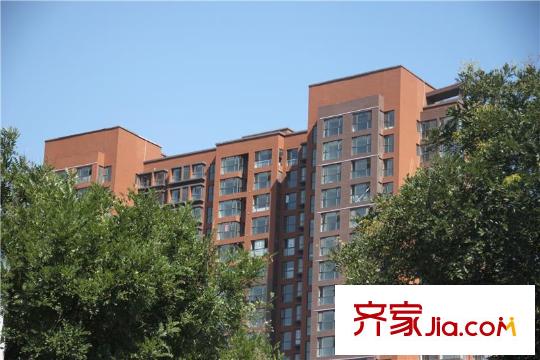 鳳凰世嘉周邊配套-商業(yè)