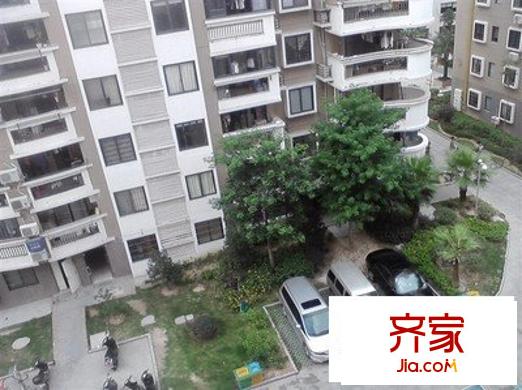 半山千葉外景圖 