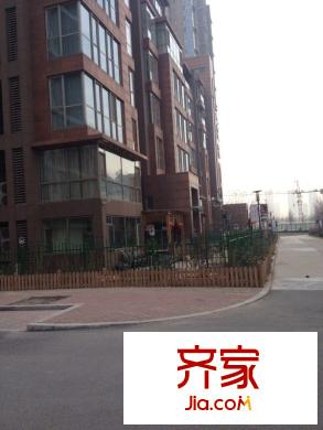 梧桐大道外景圖 