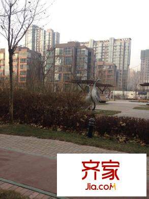 梧桐大道外景圖 