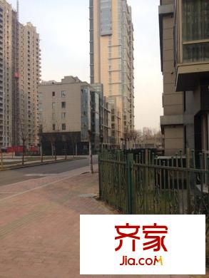 梧桐大道外景圖 