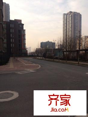 梧桐大道外景圖 