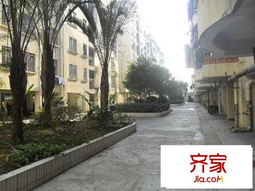 中亭街嘉同苑外景圖 