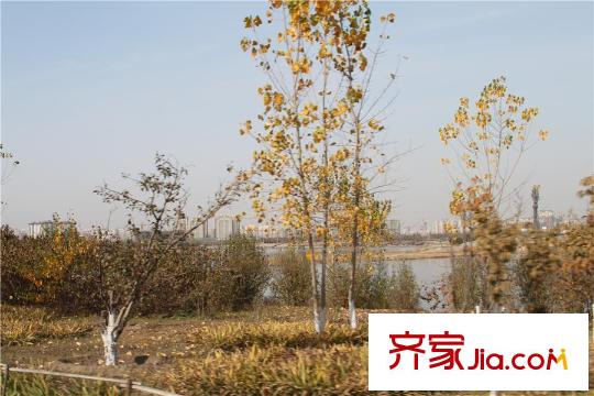 中駿南湖香郡項目附近的南湖公園