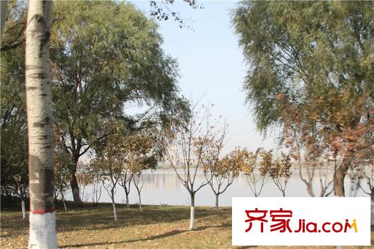 中駿南湖香郡項目附近的南湖公園