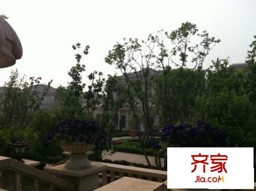 南湖壹平方米花園實(shí)景（2013-06-08）