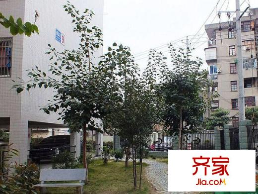 臨江新天地?zé)熒皆吠饩皥D煙山苑 