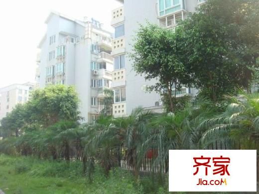 金色麗景外景圖 