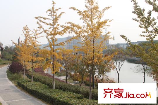 潤達萬科金域藍灣周邊配套-陡河風景