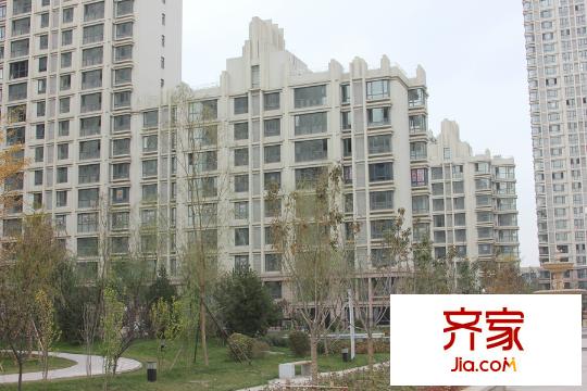 興盛大成B區(qū)現(xiàn)房（2015-11-05）