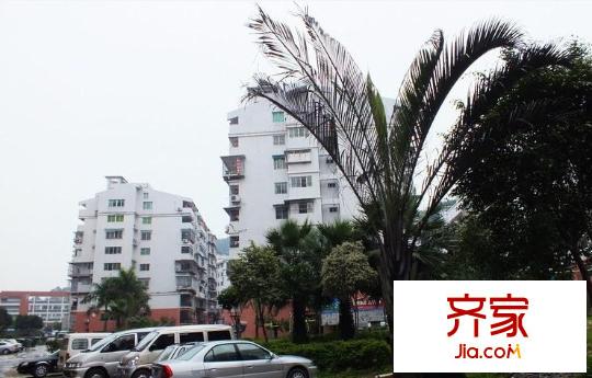 國(guó)光社區(qū)外景圖 